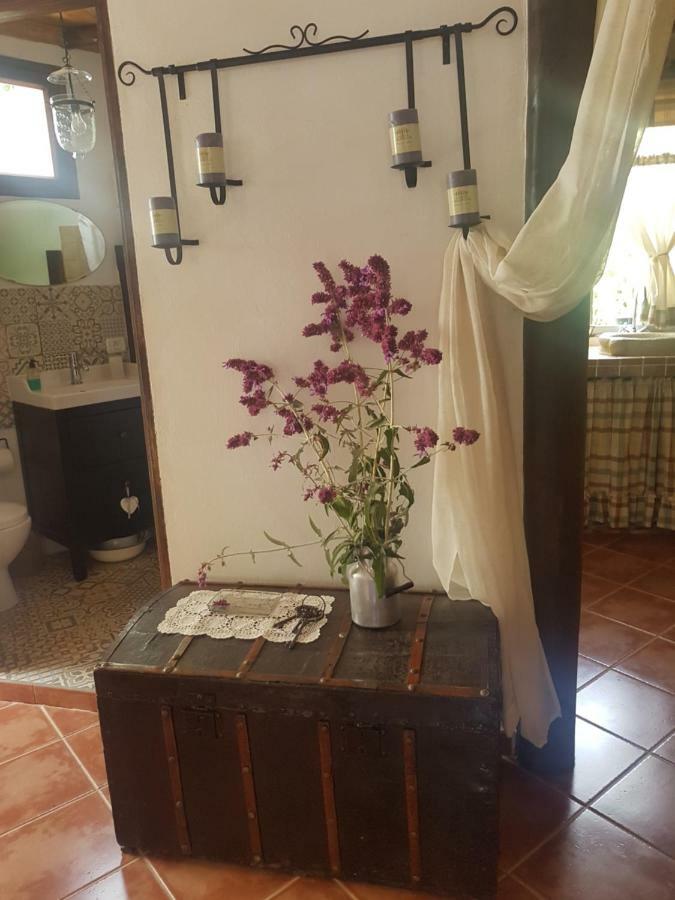 Casa Fuente Hervera Vega de San Mateo Dış mekan fotoğraf